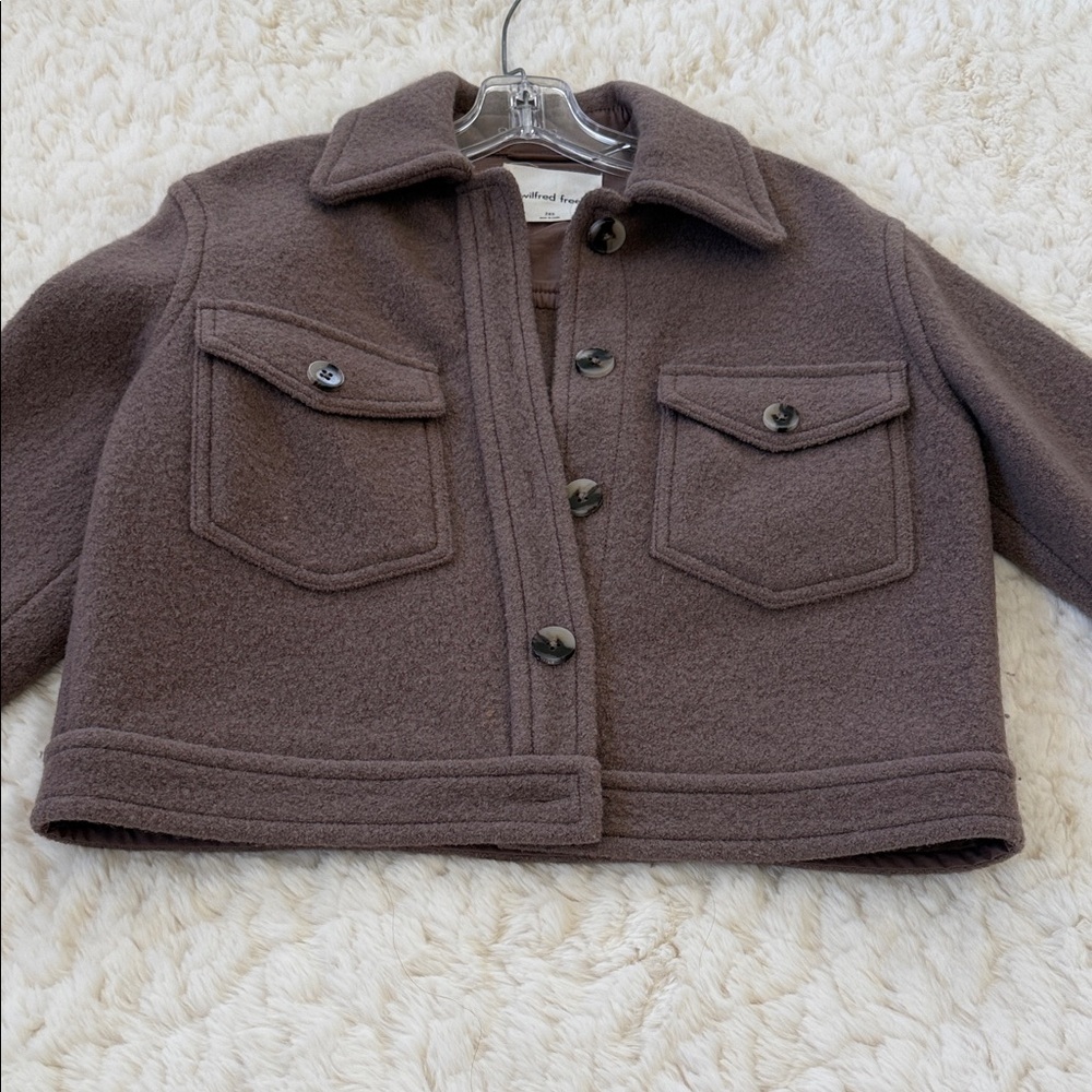 Aritzia Wilfred Crop Coat